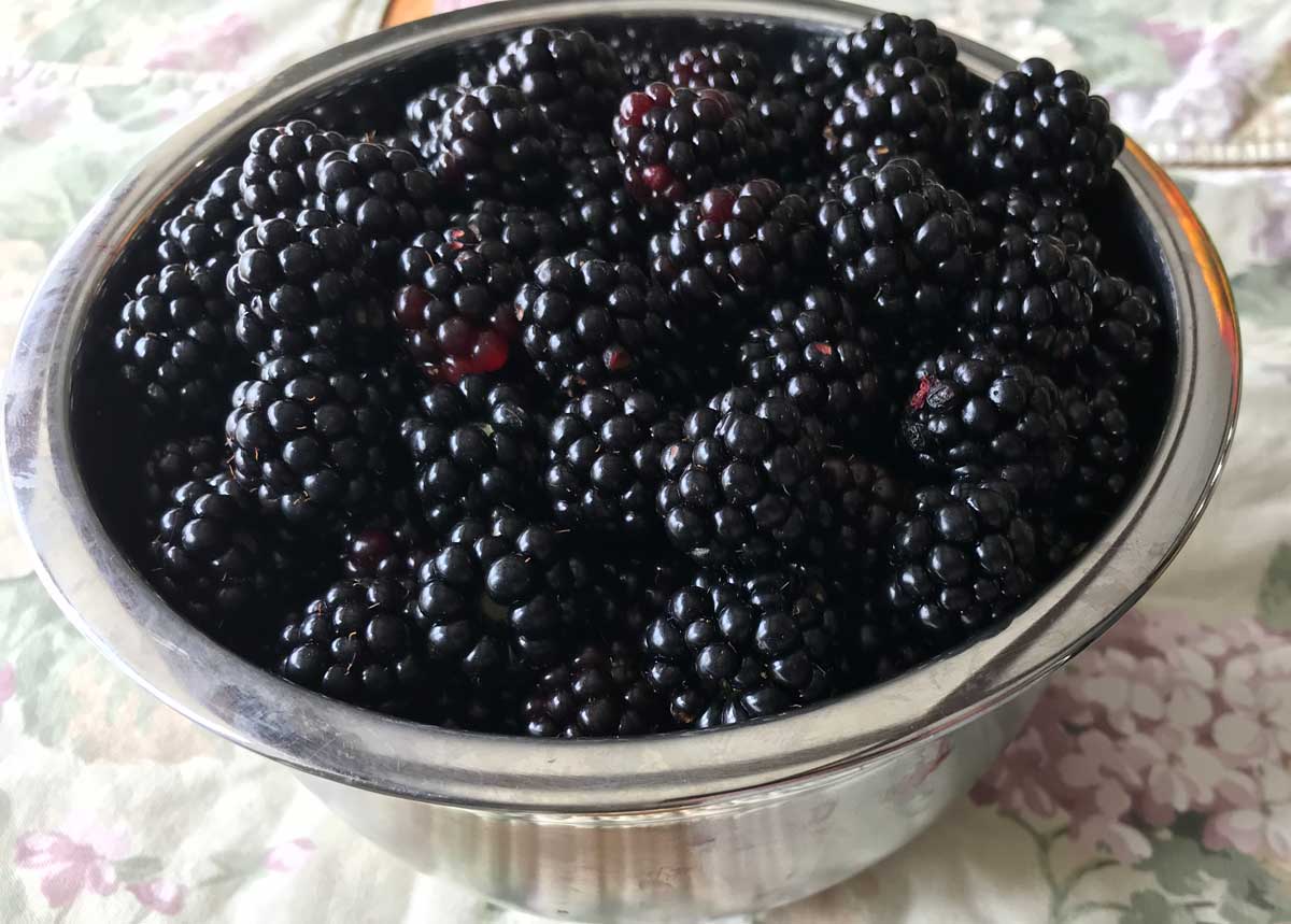 Blackberries And Raspberries