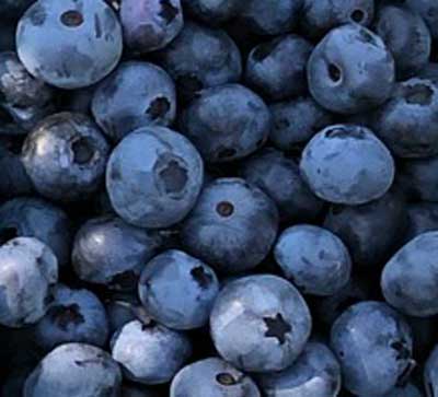 Blueberries