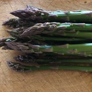 Asparagus ‘Jersey Knight’