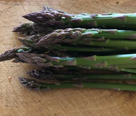 Asparagus ‘Jersey Knight’