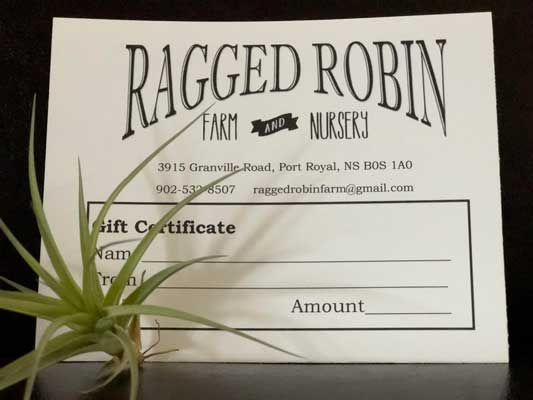 Gift Certificates