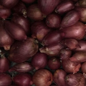Cabernet Onion (Red)